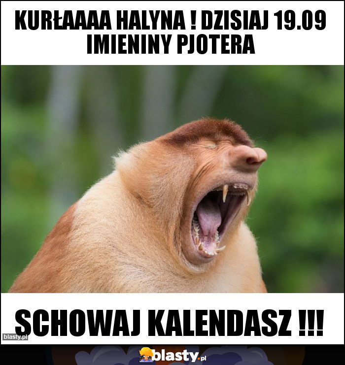Kurłaaaa Halyna ! Dzisiaj 19.09 imieniny Pjotera Kurłaaaa Halyna ! Dzisiaj 19.09 imieniny Pjotera