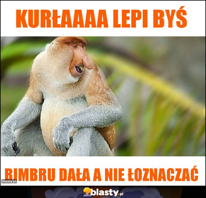 Kurłaaaa lepi byś Kurłaaaa lepi byś