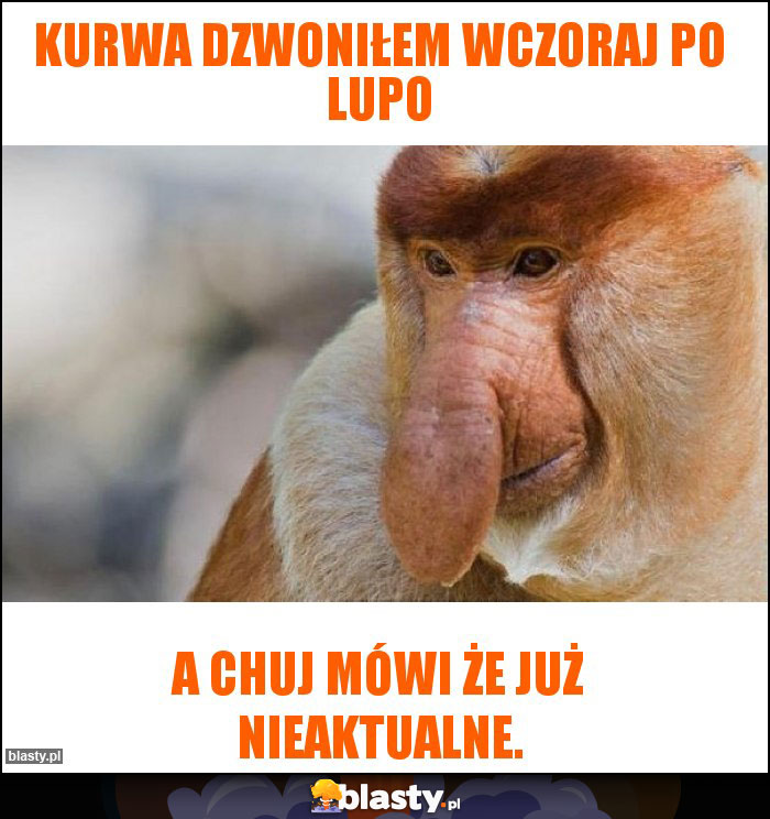 Kurwa dzwoniłem wczoraj po lupo Kurwa dzwoniłem wczoraj po lupo