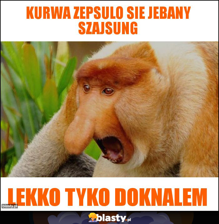 KURWA ZEPSULO SIE JEBANY SZAJSUNG