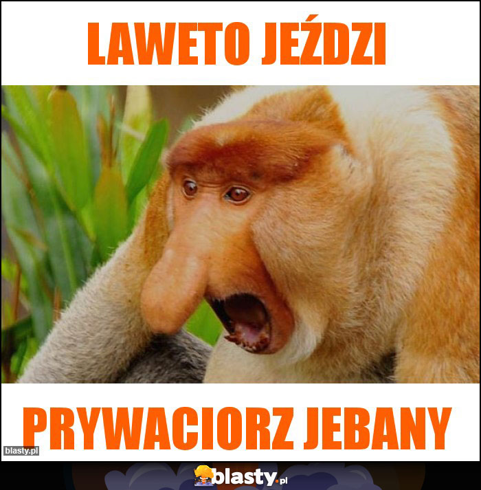 LAWETO Jeździ LAWETO Jeździ
