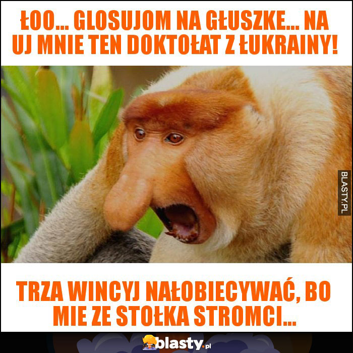 Łoo... Glosujom na Głuszke... Na uj mnie ten doktołat z Łukrainy! Łoo... Glosujom na Głuszke... Na uj mnie ten doktołat z Łukrainy!