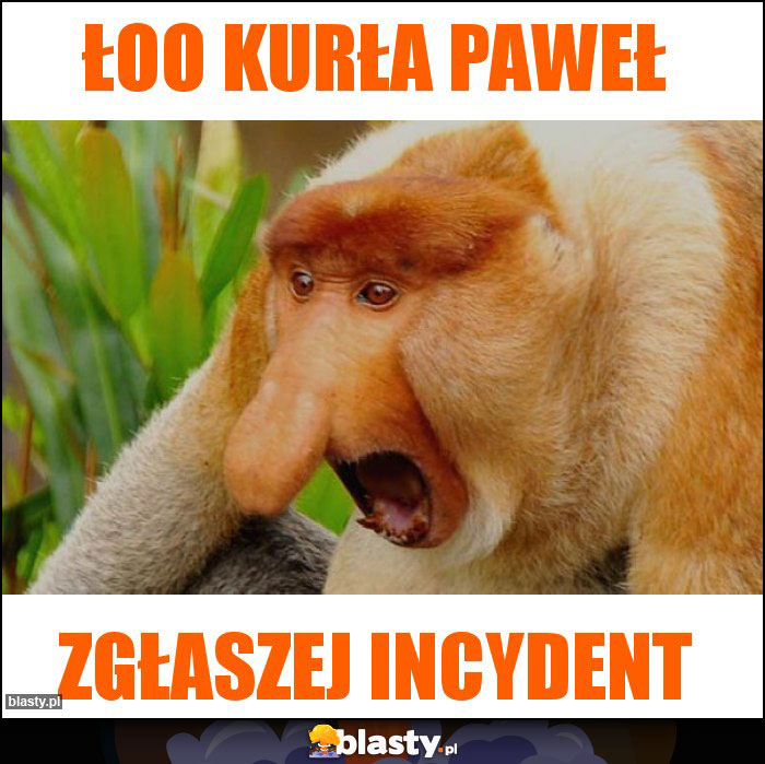 Łoo Kurła Paweł