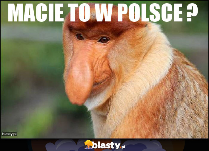 Macie to w Polsce ? Macie to w Polsce ?