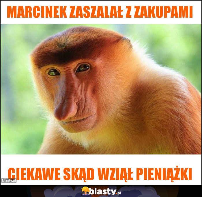 Marcinek zaszalał z zakupami Marcinek zaszalał z zakupami