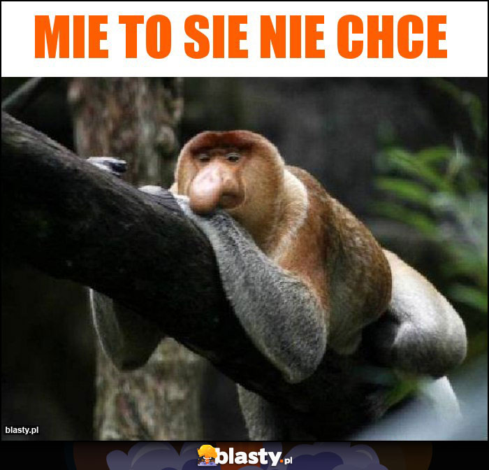 Mie to sie nie chce Mie to sie nie chce