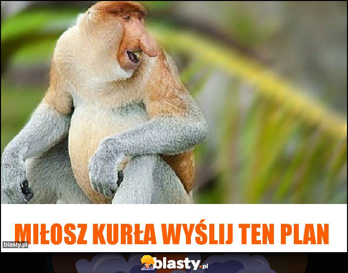 Miłosz kurła wyślij ten plan Miłosz kurła wyślij ten plan