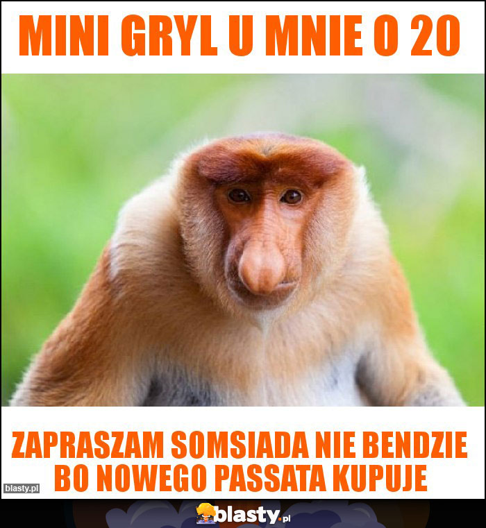 Mini gryl u mnie o 20 Mini gryl u mnie o 20