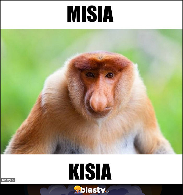 Misia