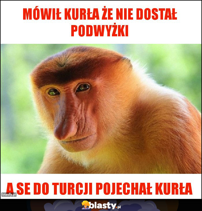 Mówił kurła że nie dostał podwyżki Mówił kurła że nie dostał podwyżki