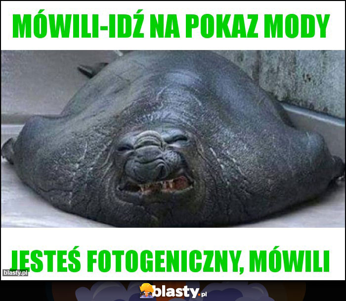 Mówili-idź na pokaz mody Mówili-idź na pokaz mody