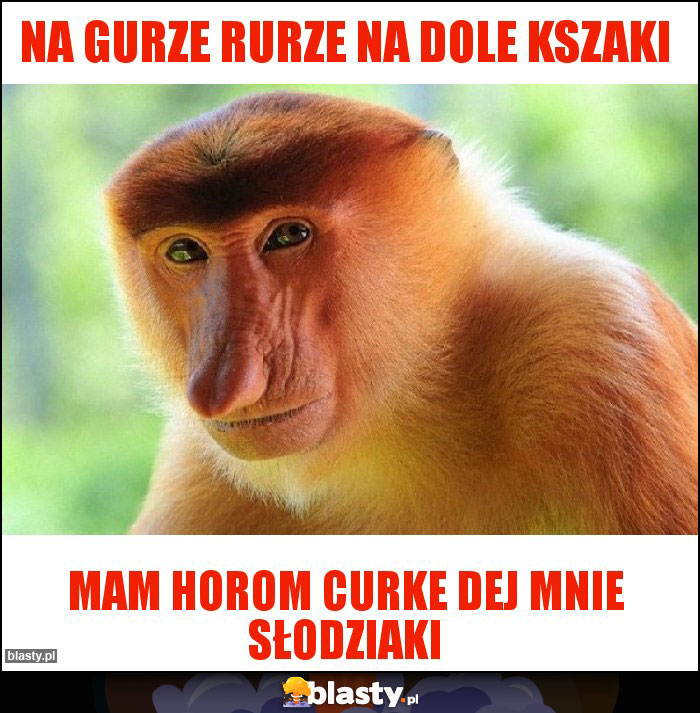 Na gurze rurze na dole kszaki