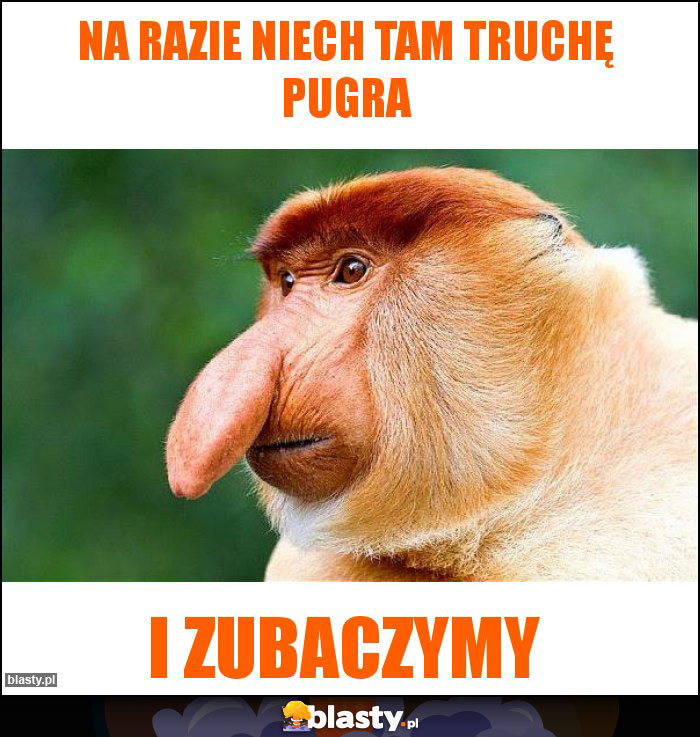 Na razie niech tam truchę pugra Na razie niech tam truchę pugra