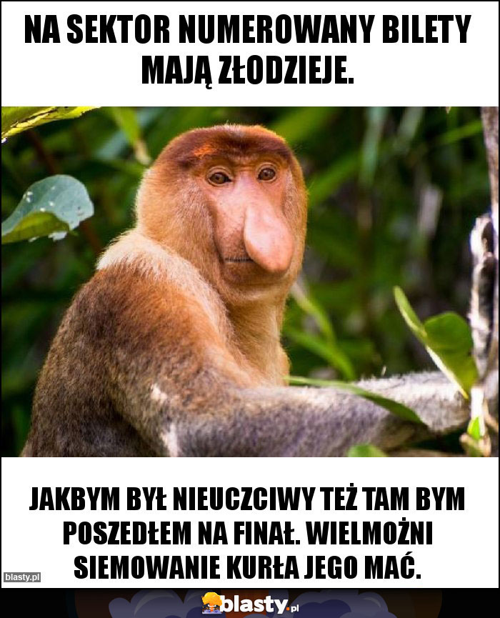 Na sektor numerowany bilety mają złodzieje. Na sektor numerowany bilety mają złodzieje.