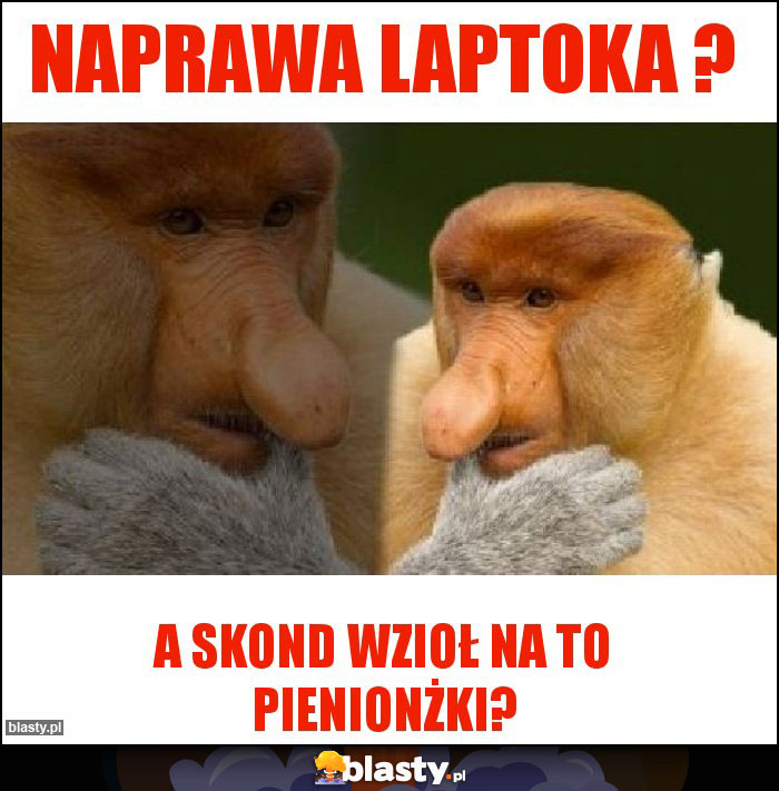 Naprawa laptoka ? Naprawa laptoka ?