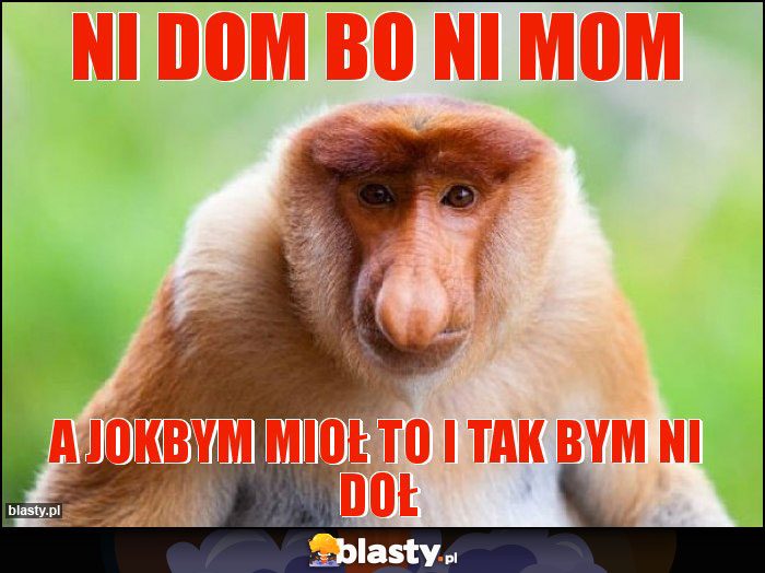 NI DOM BO NI MOM NI DOM BO NI MOM