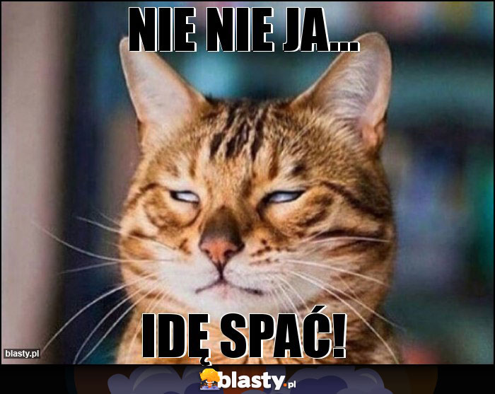 Nie nie ja... Nie nie ja...