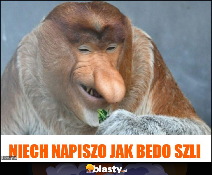 niech napiszo jak bedo szli niech napiszo jak bedo szli