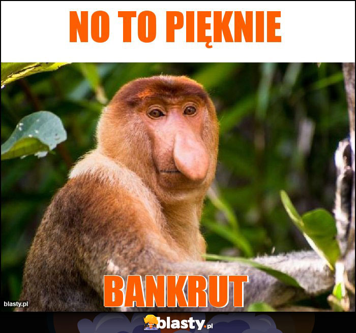 No to pięknie No to pięknie