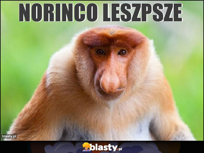 Norinco leszpsze Norinco leszpsze