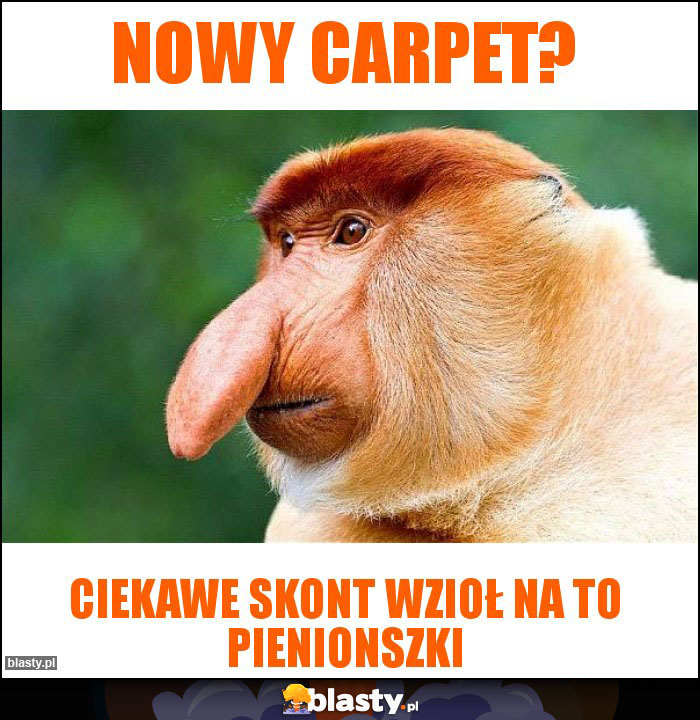 Nowy carpet? Nowy carpet?