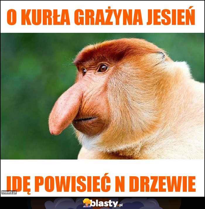 O kurła Grażyna jesień O kurła Grażyna jesień