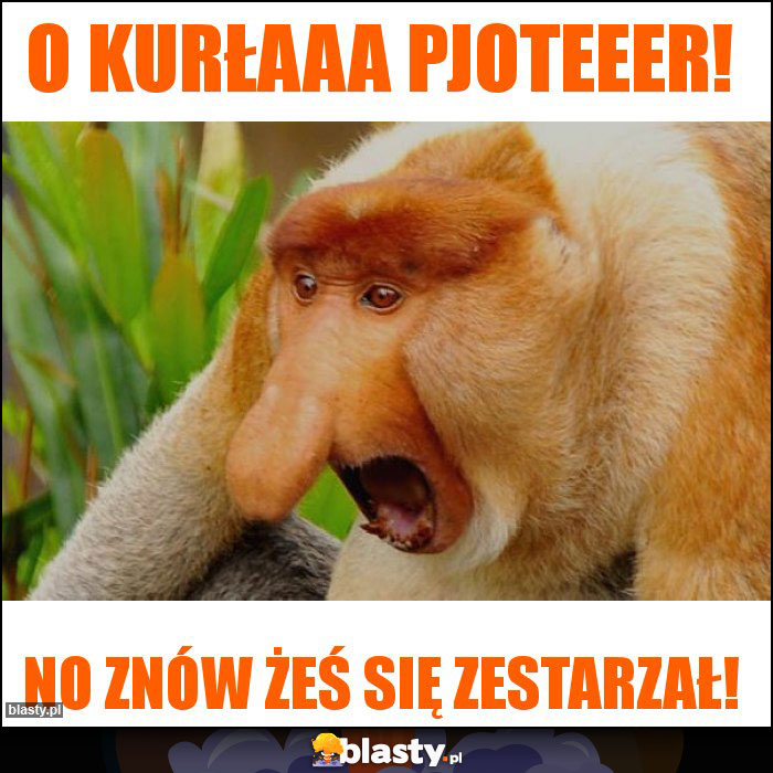 o KURŁAAA PJOTEEER! o KURŁAAA PJOTEEER!