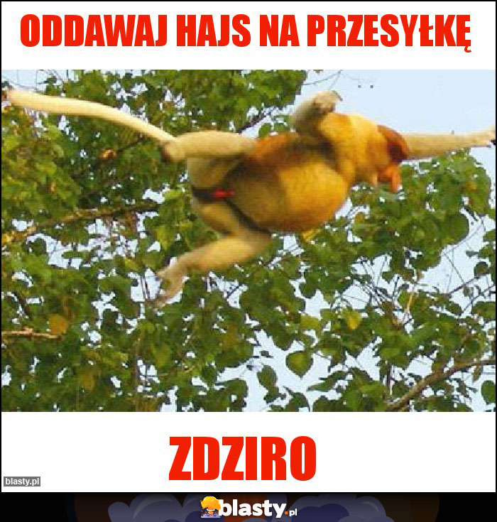 Oddawaj hajs na przesyłkę Oddawaj hajs na przesyłkę