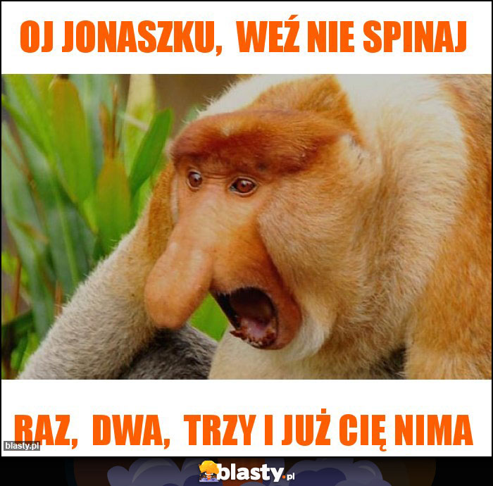 Oj Jonaszku, weź nie spinaj Oj Jonaszku, weź nie spinaj