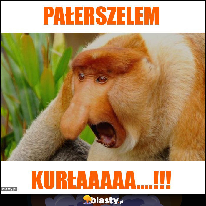 Pałerszelem Pałerszelem