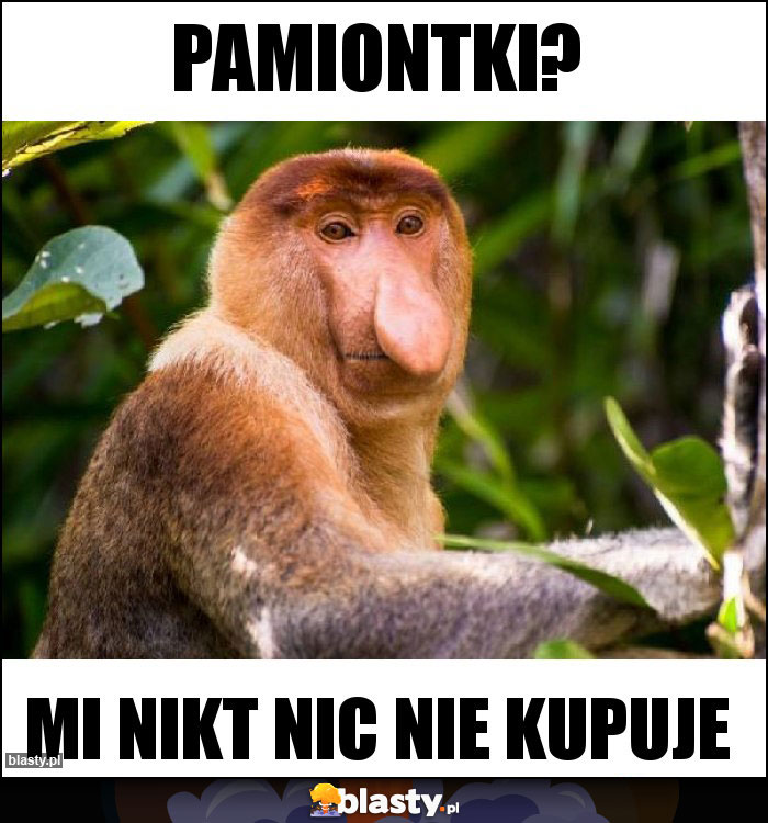 Pamiontki? Pamiontki?