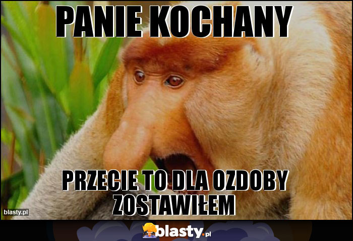 Panie kochany Panie kochany