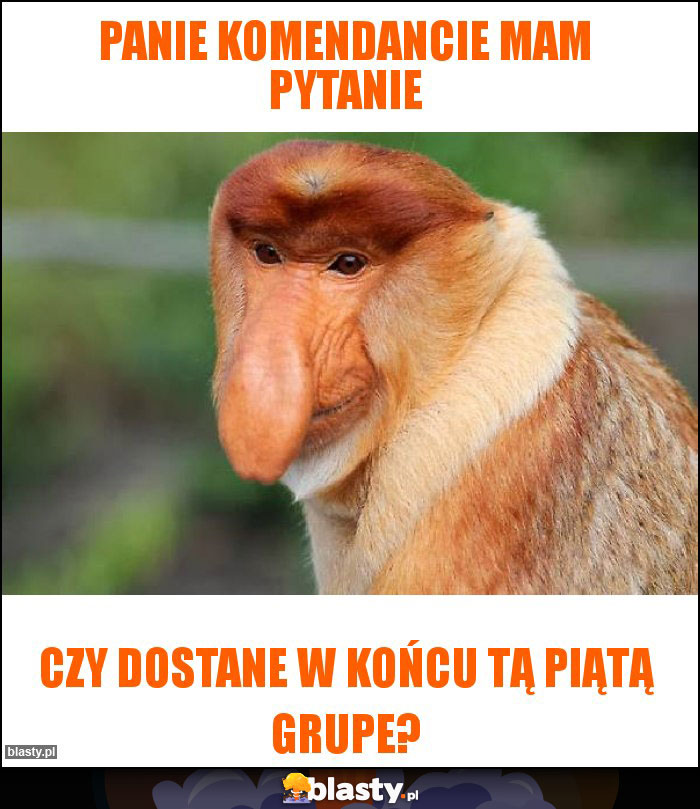 Panie Komendancie mam pytanie Panie Komendancie mam pytanie