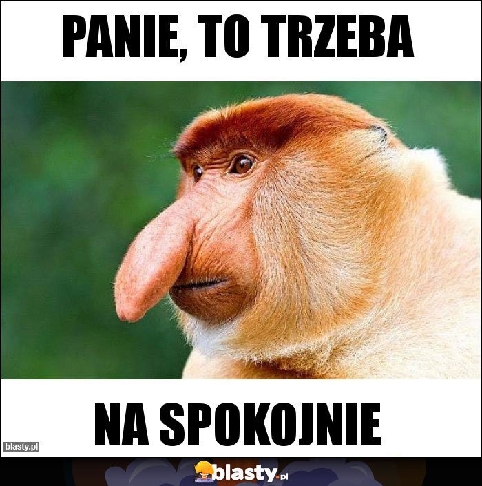 PANIE, TO TRZEBA PANIE, TO TRZEBA