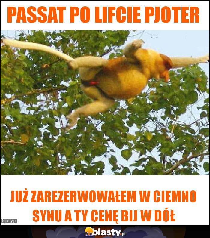 Passat po lifcie Pjoter Passat po lifcie Pjoter