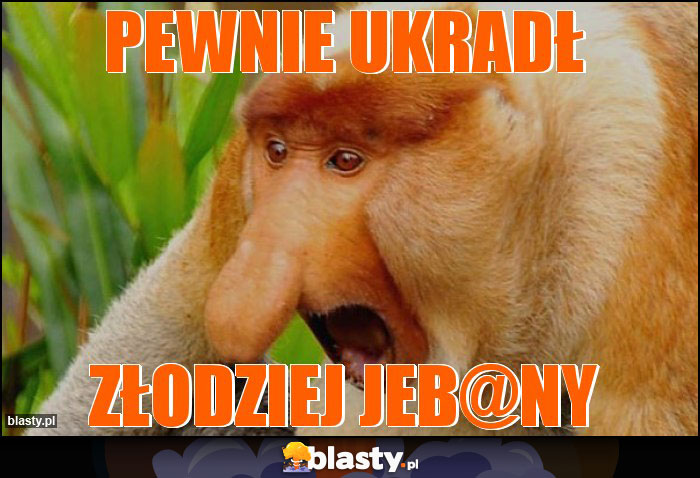 Pewnie ukradł Pewnie ukradł
