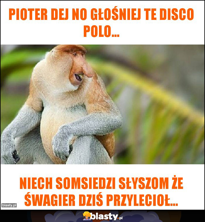 PIOTER DEJ NO GŁOŚNIEJ TE disco polo... PIOTER DEJ NO GŁOŚNIEJ TE disco polo...