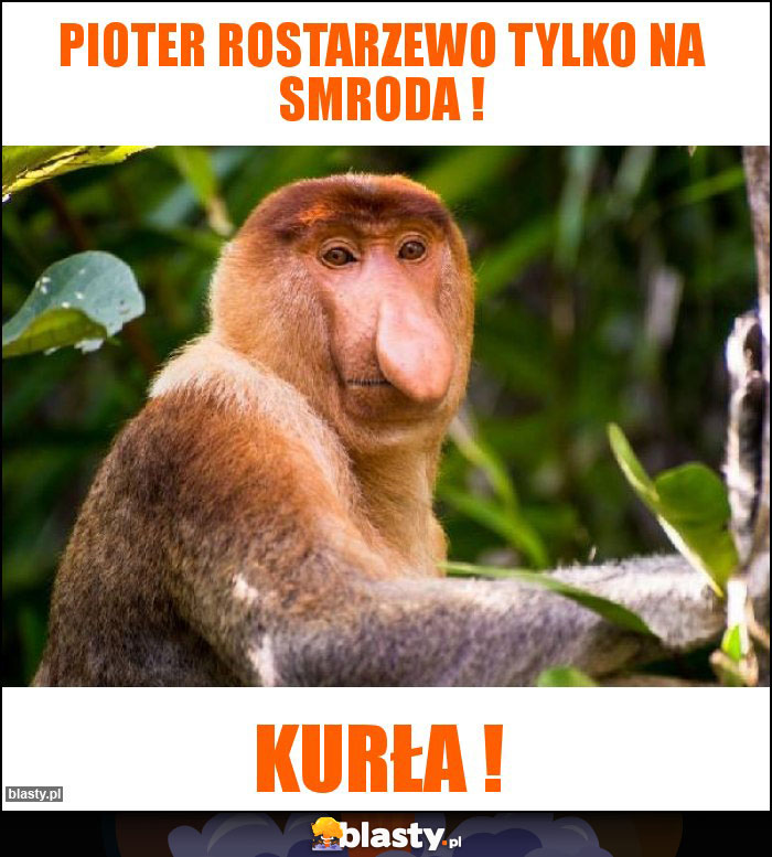Pioter Rostarzewo tylko na smroda ! Pioter Rostarzewo tylko na smroda !
