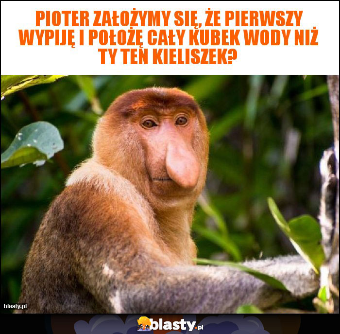 Pioter założymy się, że pierwszy wypiję i położę cały kubek wody niż Ty ten kieliszek? Pioter założymy się, że pierwszy wypiję i położę cały kubek wody niż Ty ten kieliszek?