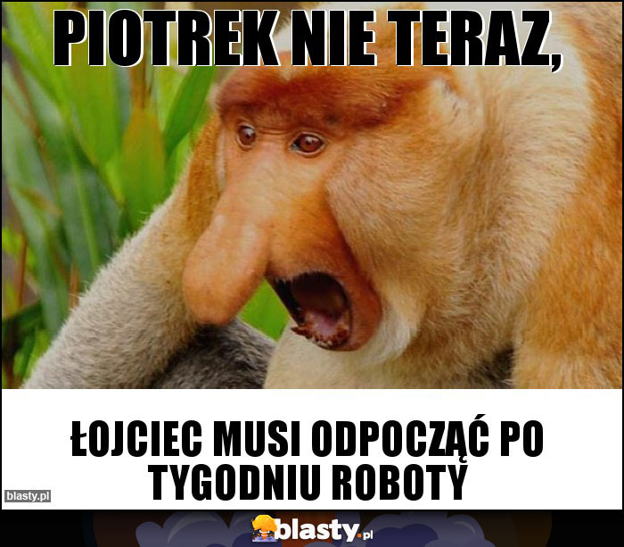 Piotrek nie teraz, Piotrek nie teraz,