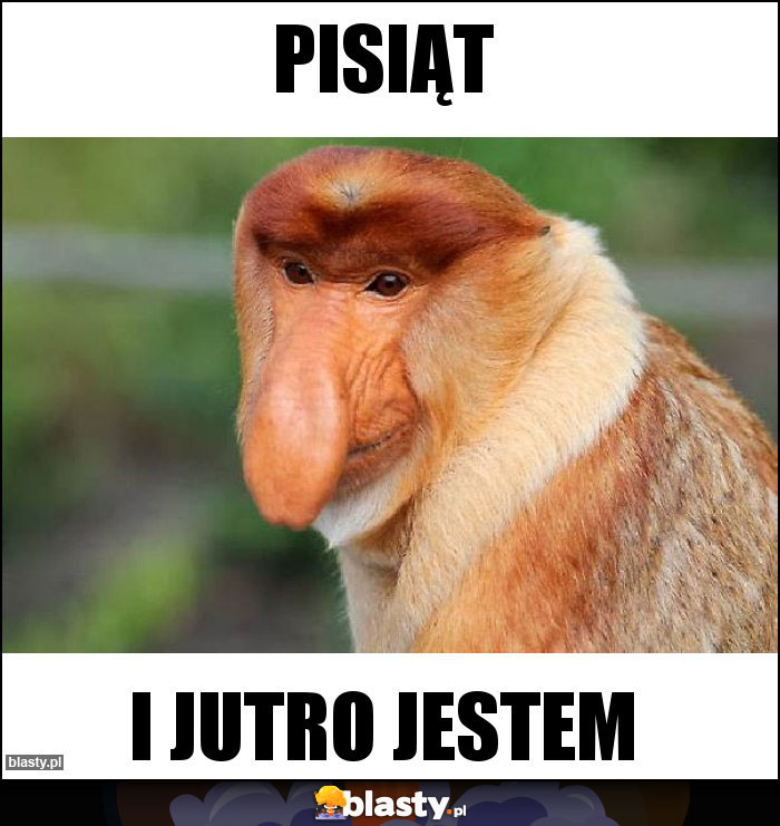 Pisiąt