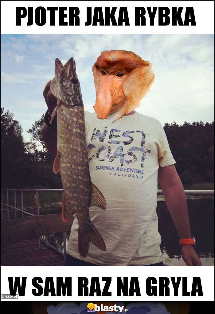 Pjoter jaka rybka Pjoter jaka rybka