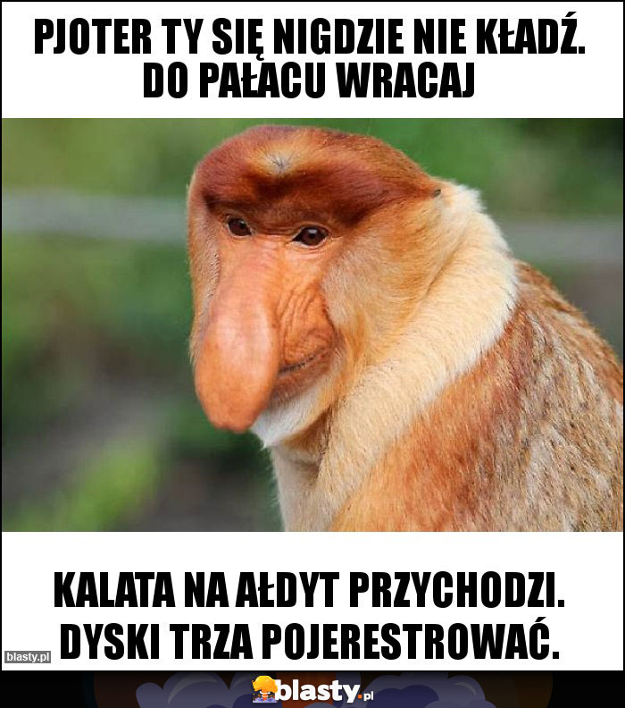Pjoter ty się nigdzie nie kładź. Do pałacu wracaj Pjoter ty się nigdzie nie kładź. Do pałacu wracaj