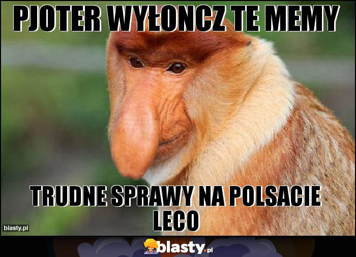 pjoter wyłoncz te memy pjoter wyłoncz te memy