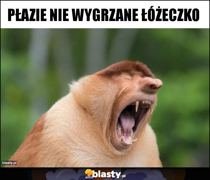 Płazie nie wygrzane łóżeczko Płazie nie wygrzane łóżeczko