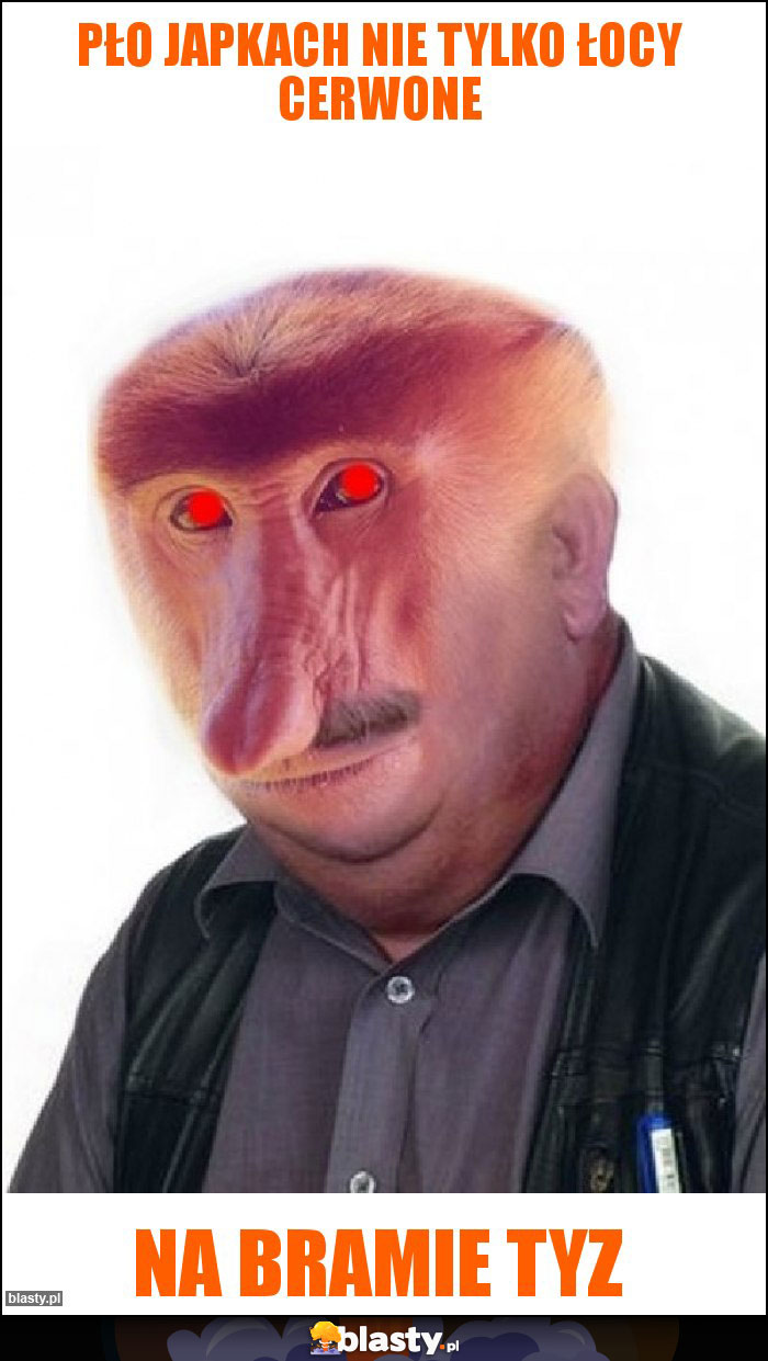 Pło japkach nie tylko łocy cerwone Pło japkach nie tylko łocy cerwone