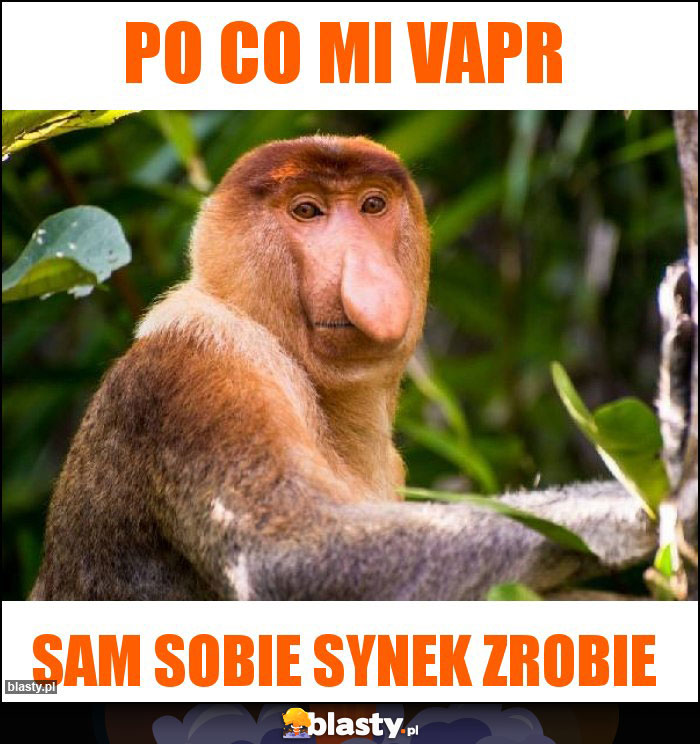 Po co mi vapr Po co mi vapr