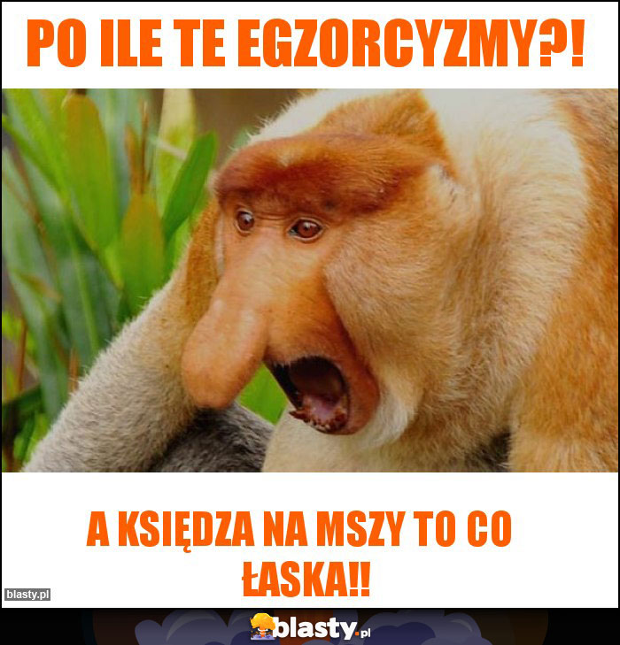 PO ILE TE EGZORCYZMY?! PO ILE TE EGZORCYZMY?!