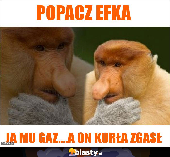 Popacz efka Popacz efka