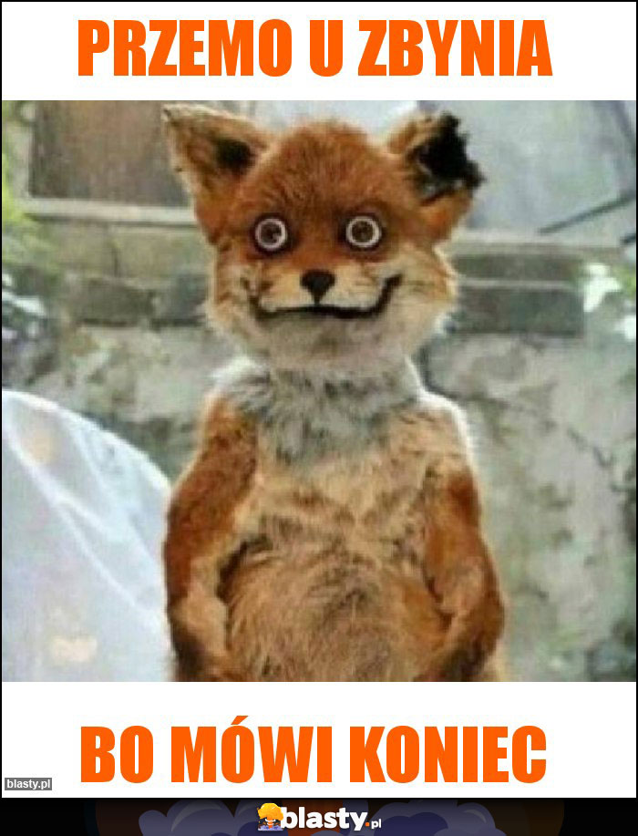 Przemo u zbynia Przemo u zbynia